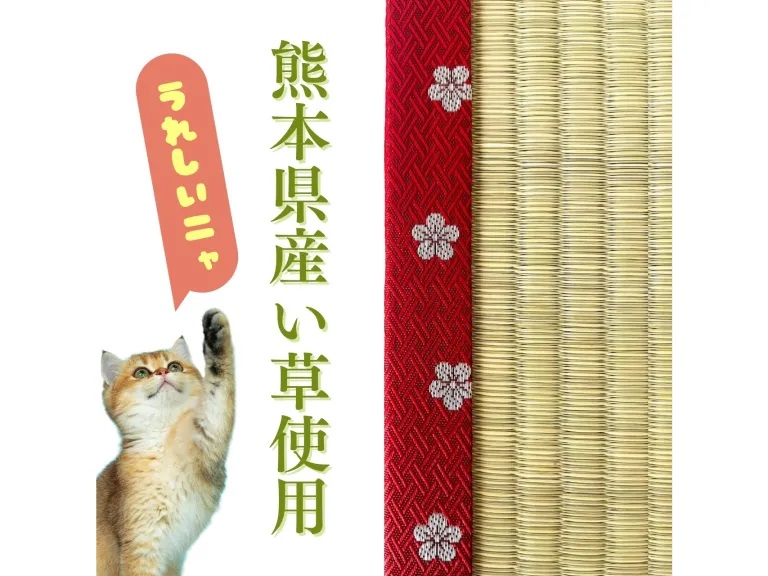 Chiếu tatami dành cho mèo chieu-tatami-cho-meo